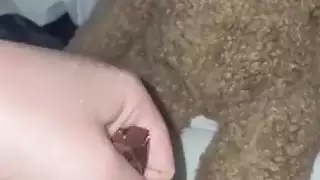 عاهرات هواة عربيات: هزات جماع حقيقية من جنس الشوكولاتة والجبن