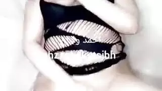 الحمار العربي ستة