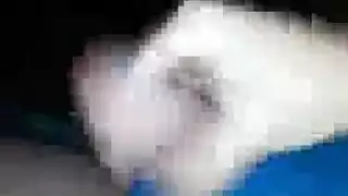 اثنتان من فتيات الصالة الرياضية المثيرة تمت ممارسة الجنس معهن بقوة من قبل مدرب مفتول العضلات في غرفة الملابس