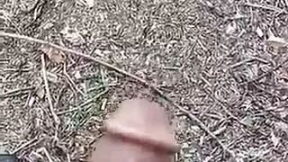زيارة زوجة الأب السرية ليلاً