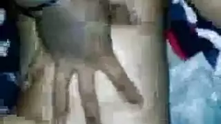 الأصدقاء المقربون يتحولون إلى عشاق في مشهد لعق شرجي حميمي